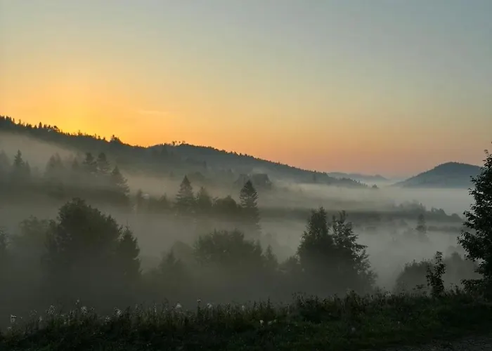 度假村 Zveniv *